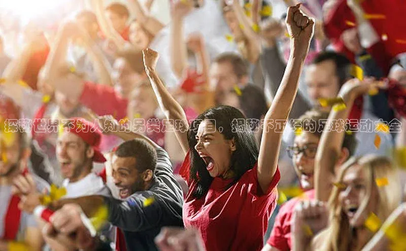 焦点娱乐app下载神思电子探秘世界不为人知的另类足球项目，揭秘不正经的足球运动大全