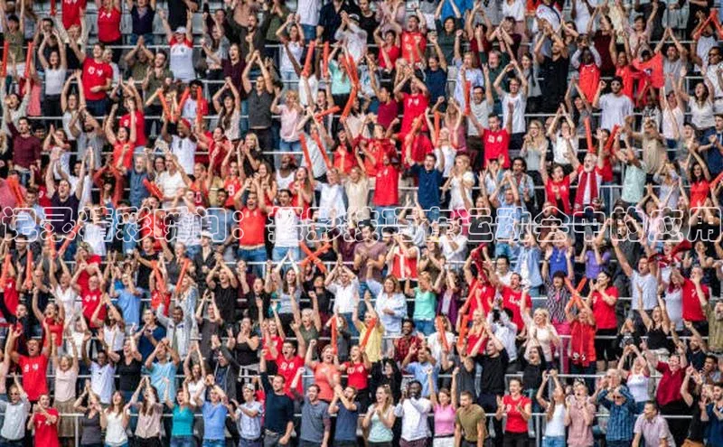 记录精彩瞬间：摄影技巧在运动会中的应用