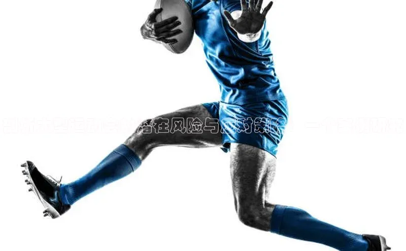 剖析大型运动会的潜在风险与应对策略：一个案例研究