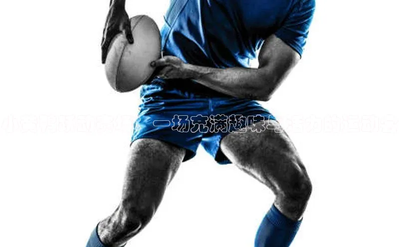 小黄鸭跃动赛场：一场充满趣味与活力的运动会