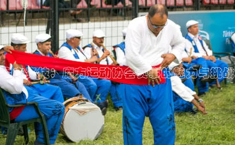 魔方竞技：魔方运动协会赛事的魅力与挑战