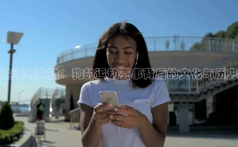 追逐与竞技：狗的运动赛事背后的文化与历史