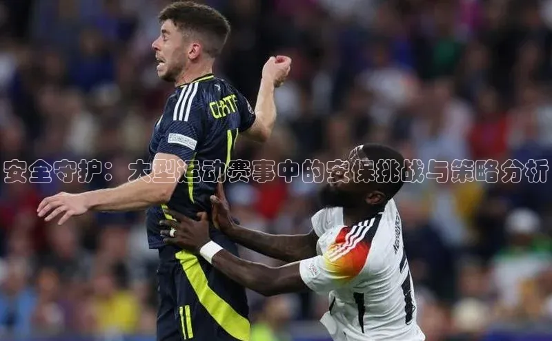 安全守护：大型运动赛事中的安保挑战与策略分析
