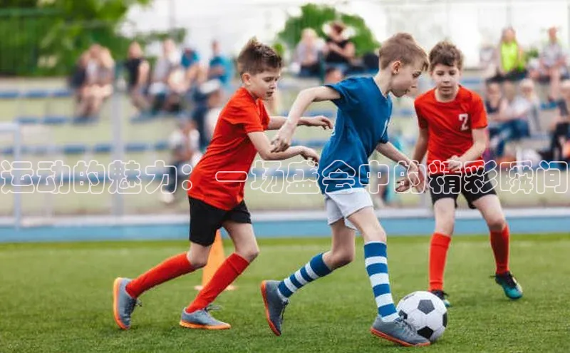 运动的魅力：一场盛会中的精彩瞬间