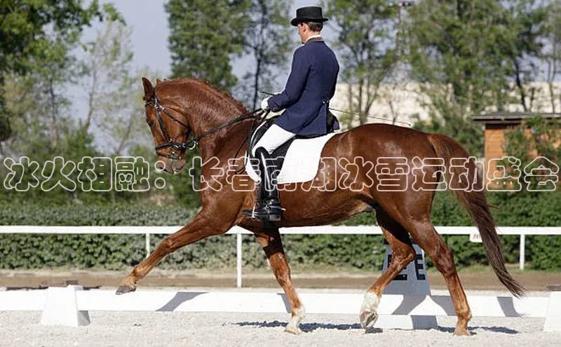 冰火相融：长春南湖冰雪运动盛会