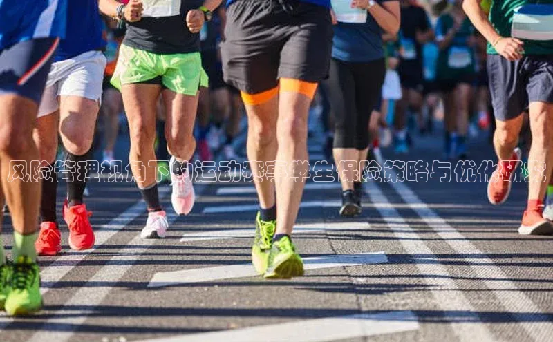 风险管理视角下的运动赛事学生保险策略与优化研究