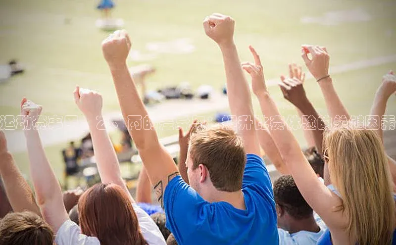 运动赛事甲、乙、丙的差异与：提升比赛体验的关键因素