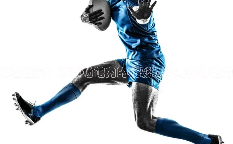 冰雪盛宴：冰球场馆内的精彩瞬间与独特魅力