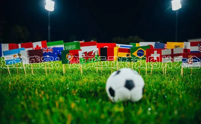 焦点手机登录平台