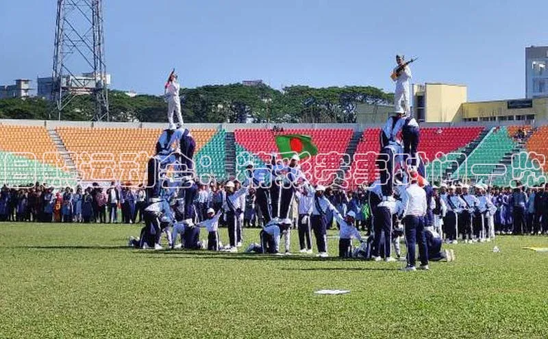 焦点手机登录平台