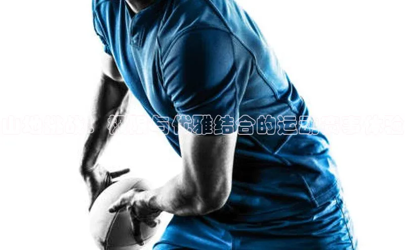 焦点登录地址入口