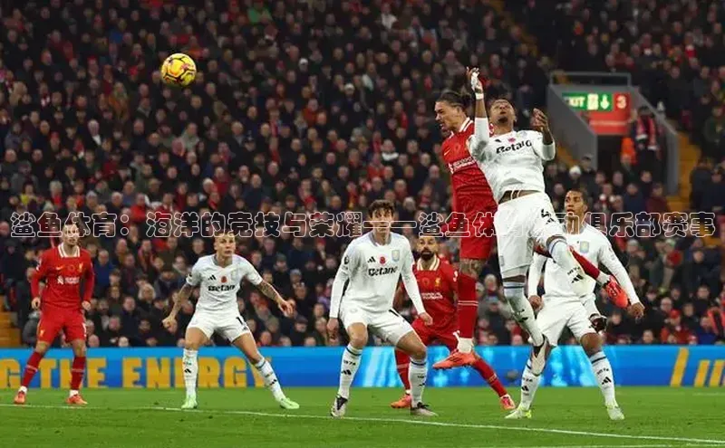 焦点平台的注册与登录地址