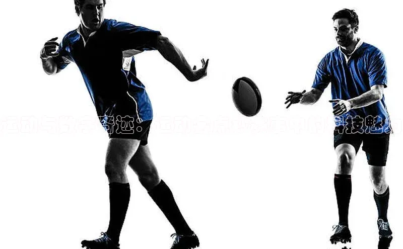 焦点娱乐app下载官网