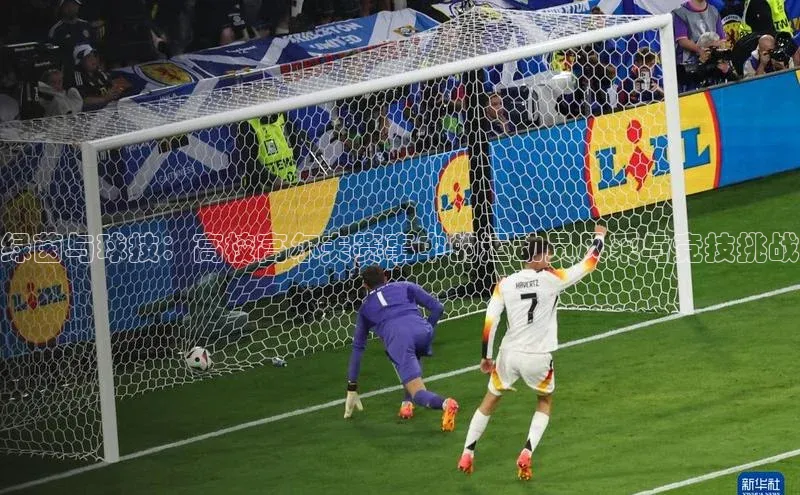 焦点娱乐账号注册入口官网