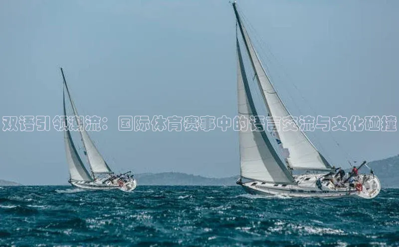 焦点注册平台登录入口